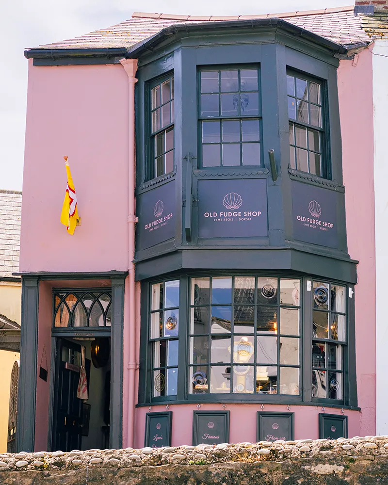 OFS Lyme Regis OFS Lyme Regis